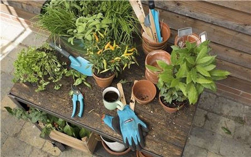 Kit de démarrage de jardinage 4 en 1 Gardena 